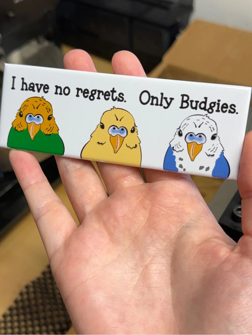 I Have No Regrets, Only Budgies Magnet, Handmade & Hand Illustrated 1.5x4.5”